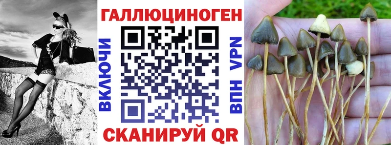 купить цена Калач-на-Дону darknet клад Галлюциногенные грибы мицелий