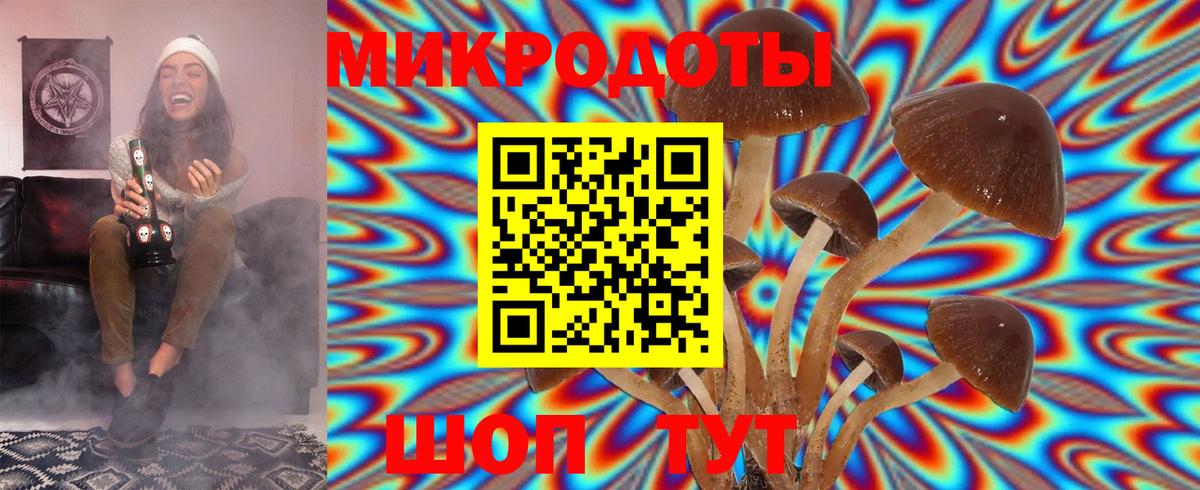 Галлюциногенные грибы MAGIC MUSHROOMS  Вход с VPN  Калач-на-Дону 