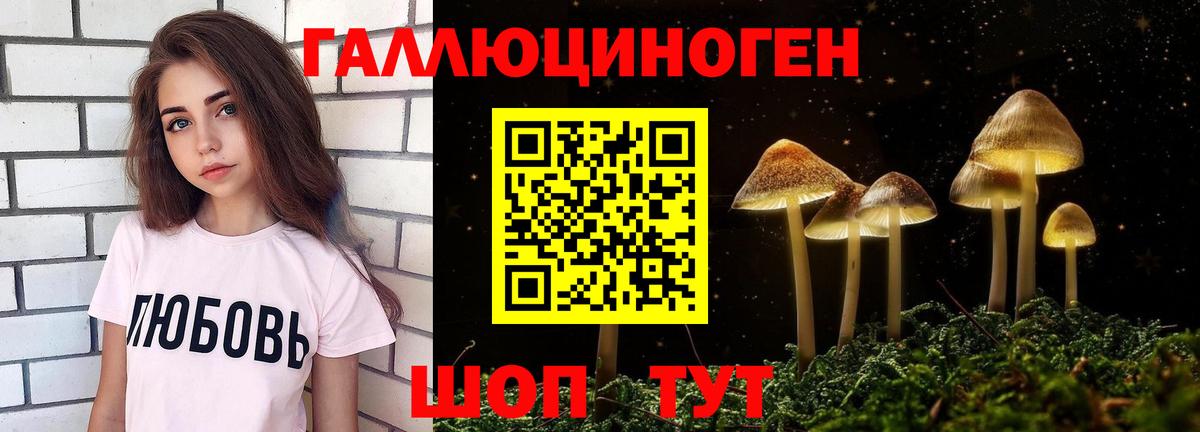 Псилоцибиновые грибы Psilocybe Калач-на-Дону